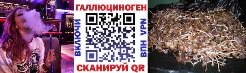 Галлюциногенные грибы мухоморы  Энгельс 